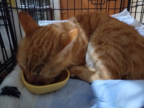 20260130_080816_copy_800x600