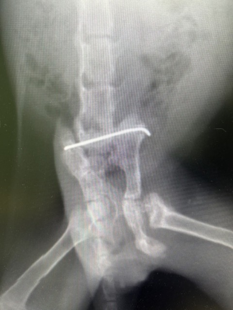 1765501437464_copy_554x738