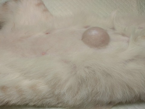 20240521_083927_copy_800x600