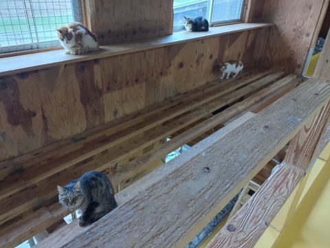 20251011_121810_copy_800x600