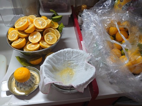 DSC_2326_copy_800x600