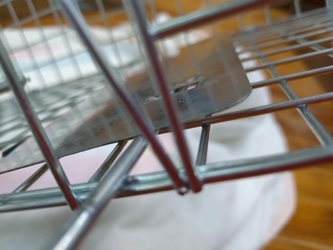 20251224_085204_copy_800x600