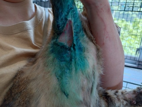 20250620_132337_copy_800x600