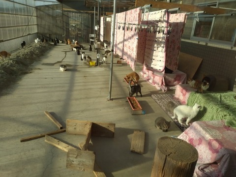 20260206_084531_copy_800x600