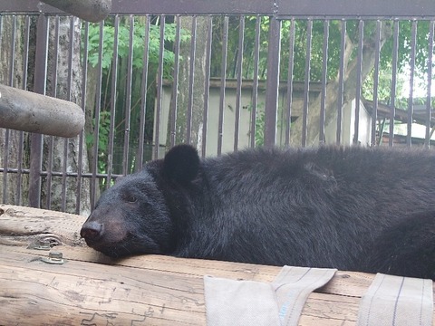 20230606_154951_copy_800x600