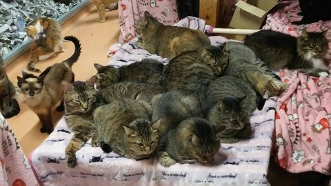 1571391462291-800x450