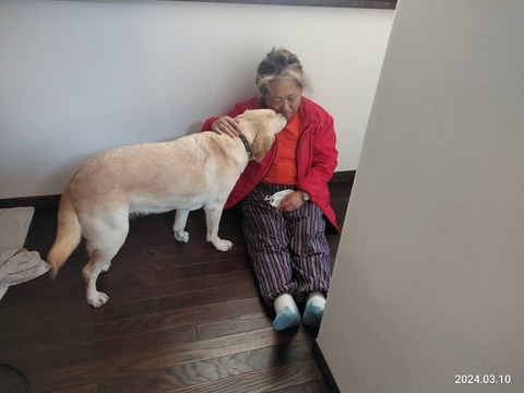 1710068547128_copy_800x600