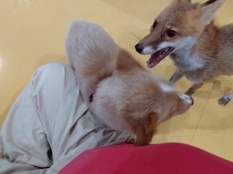 20260802_141252_copy_800x600