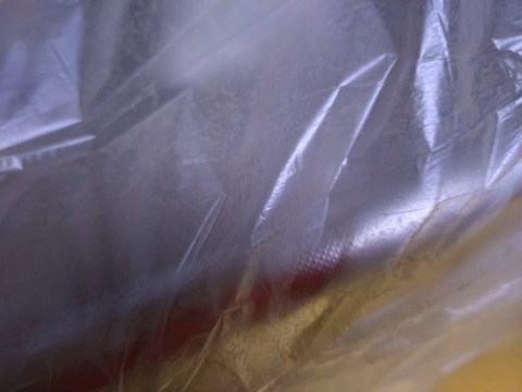 20251225_070358_copy_800x600