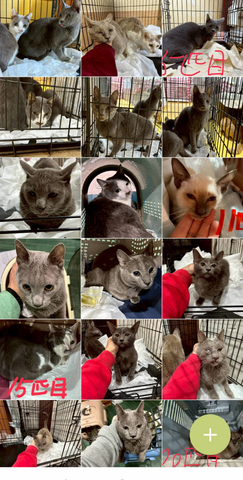 Screenshot_20260301-084721~2_copy_600x1188