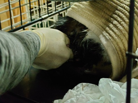 20230217_200813_copy_800x600