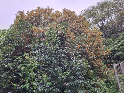 1789974363305_copy_800x600