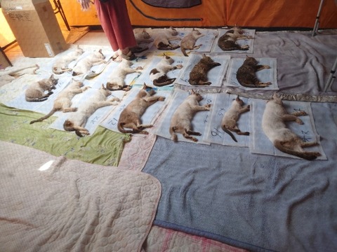 20220722_101050_copy_800x600