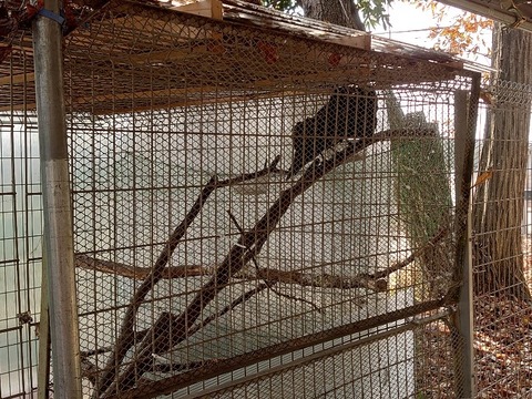 DSC_1341_copy_800x600