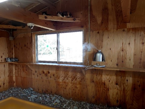 DSC_1272_copy_800x600