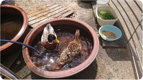 DSCPDC_0001_BURST20190516124