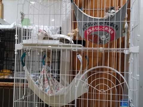 20251208_164910_copy_800x600