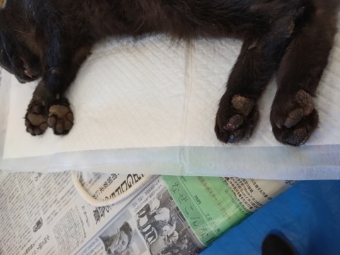 20251029_083058_copy_800x600