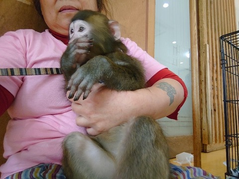 DSC_2766_copy_800x600