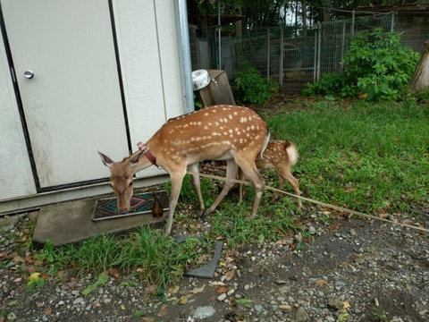 20260812_100856_copy_800x600