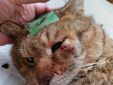 DSC_5833_copy_800x600