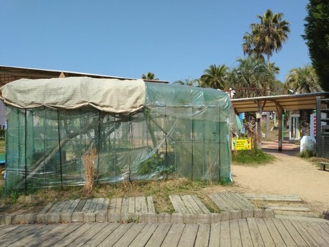 20250417_095833_copy_800x600