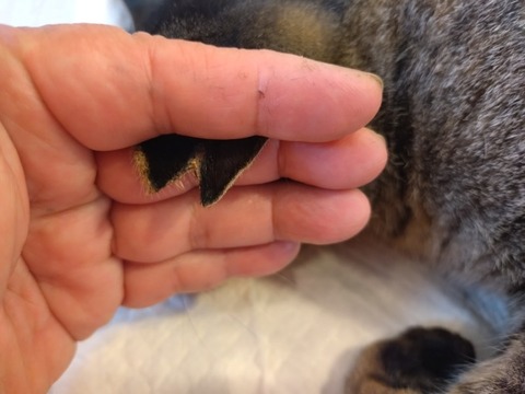 20251124_142958_copy_800x600