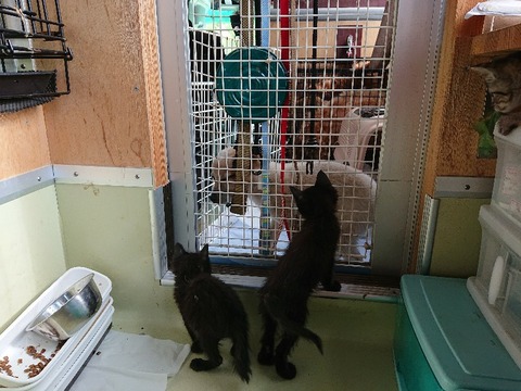 DSC_7093_copy_800x600