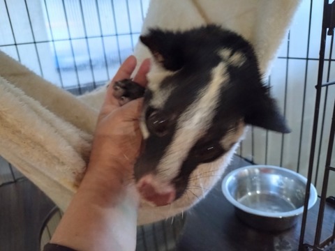 20260224_075021_copy_800x600