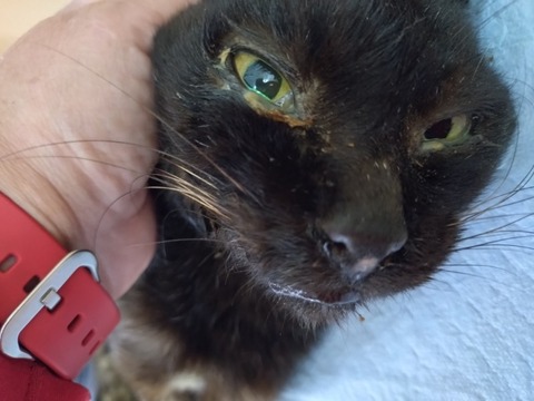 20251224_094030_copy_800x600