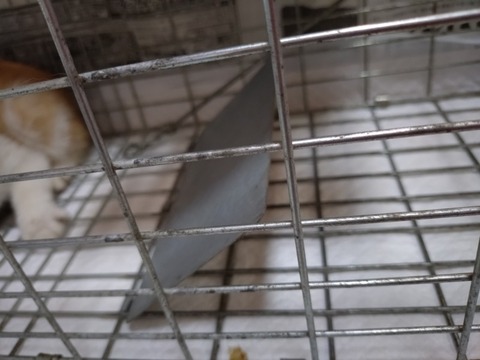 20260830_083229_copy_800x600