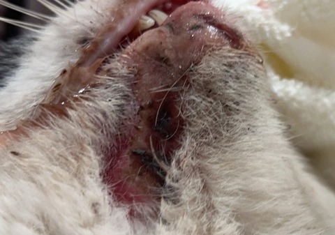 1769508191537_copy_800x561