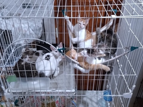 20251208_170226_copy_800x600