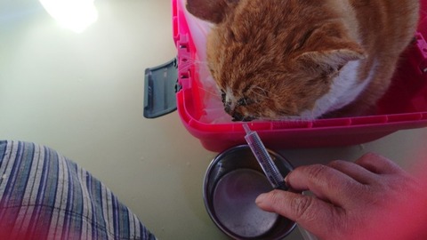 DSC_0000_BURST20190221104503073-800x450