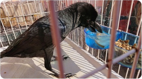 DSCPDC_0002_BURST20181117101