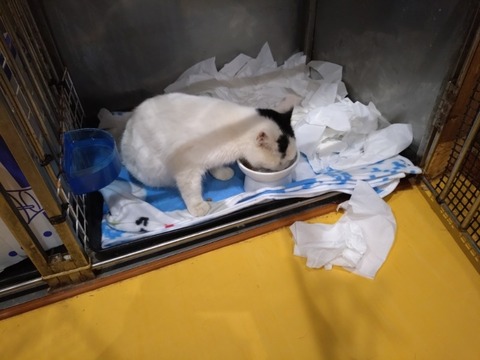 20251206_083434_copy_800x600