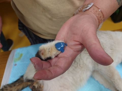 20240312_100000_copy_800x600