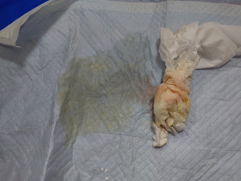 DSC_0225_copy_800x600