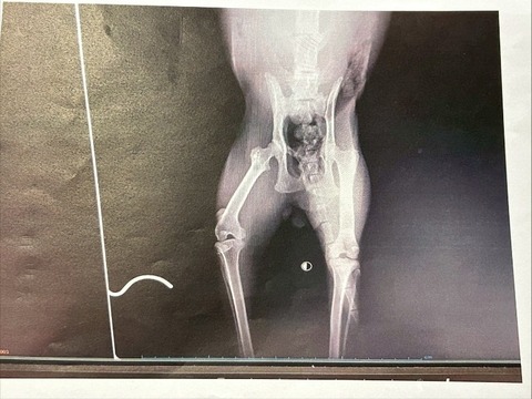 1769505640828_copy_800x600