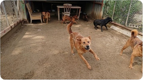 DSCPDC_0001_BURST20190521090