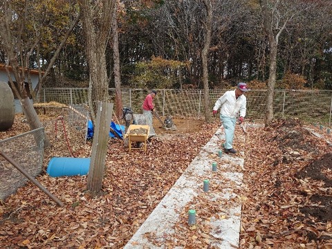 DSC_1338_copy_800x600