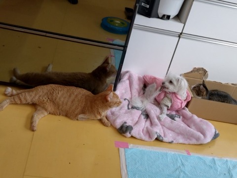 20251127_103120_copy_800x600