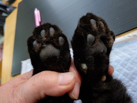 20251224_140635_copy_800x600