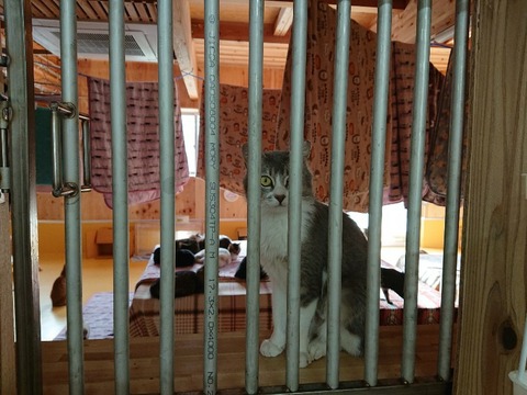 DSC_5852_copy_800x600