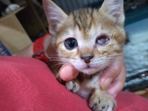 20251027_203505_copy_800x600