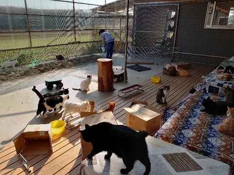 DSC_1282_copy_800x600