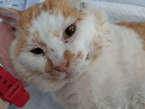 20251221_112741_copy_800x600