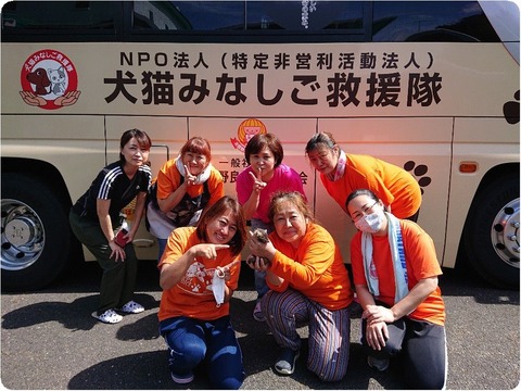 DSC_7034_copy_1024x768