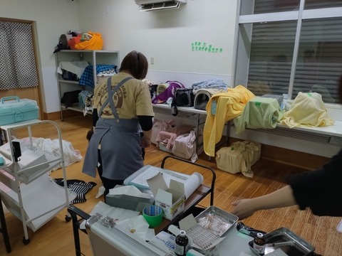 20251224_104925_copy_800x600