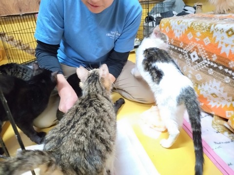 20260304_080830_copy_800x600